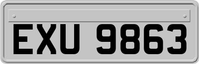 EXU9863