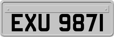 EXU9871