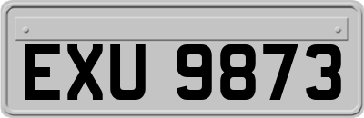 EXU9873