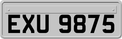 EXU9875
