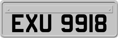 EXU9918