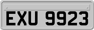 EXU9923