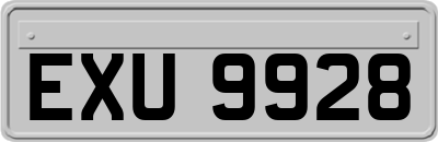 EXU9928