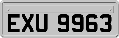 EXU9963