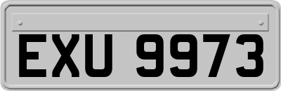 EXU9973