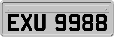 EXU9988