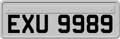 EXU9989