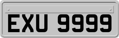 EXU9999