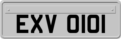 EXV0101