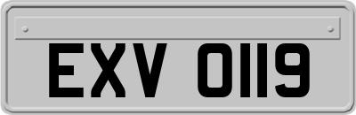 EXV0119