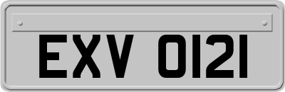 EXV0121