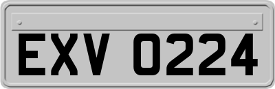 EXV0224