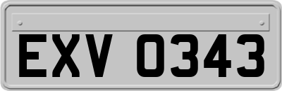 EXV0343