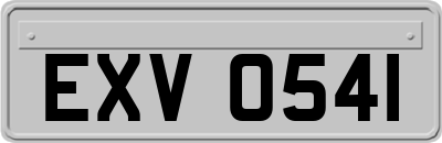 EXV0541