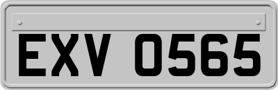 EXV0565