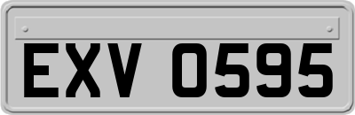 EXV0595