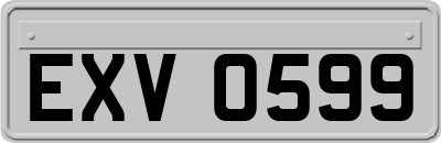 EXV0599