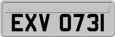EXV0731