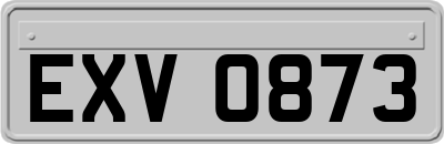 EXV0873
