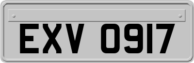 EXV0917