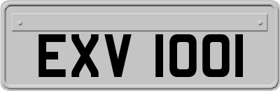 EXV1001