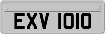 EXV1010