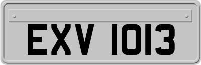 EXV1013