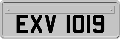 EXV1019