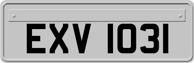 EXV1031