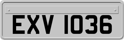 EXV1036