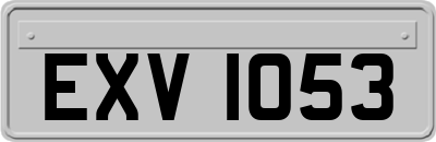 EXV1053