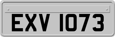 EXV1073