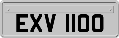 EXV1100