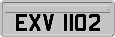 EXV1102