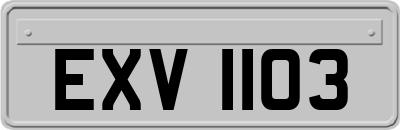 EXV1103
