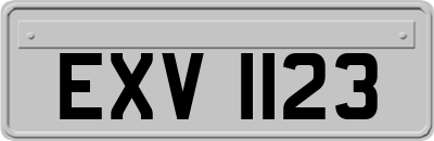 EXV1123