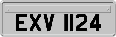 EXV1124