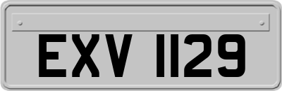 EXV1129