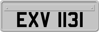 EXV1131