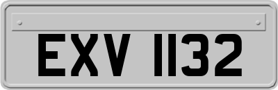 EXV1132