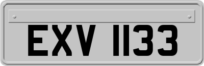 EXV1133