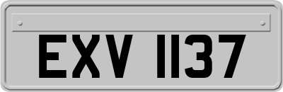 EXV1137