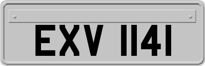 EXV1141