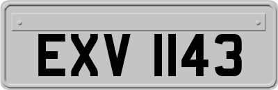 EXV1143