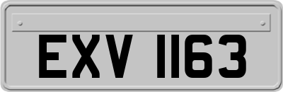 EXV1163