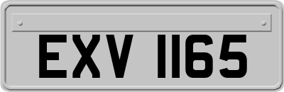 EXV1165