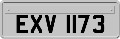 EXV1173