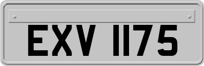 EXV1175