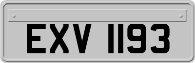 EXV1193