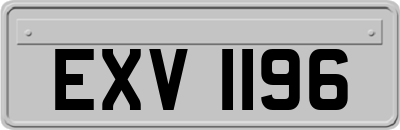 EXV1196